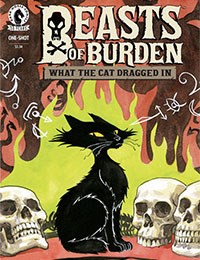 Beasts of Burden: What The Cat Dragged In