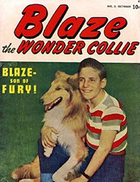Blaze the Wonder Collie