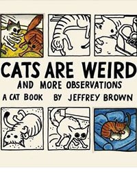 Cats are Weird and More Observations