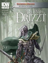 Dungeons & Dragons: The Legend of Drizzt: Neverwinter Tales