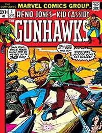 Gunhawks