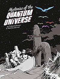 Mysteries of the Quantum Universe